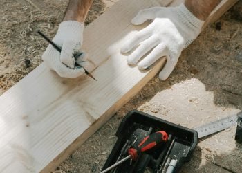 pexels-ron-lach-8817851