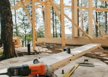 pexels-ron-lach-8821543