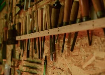 pexels-stefan-donchev-9043182-6075992